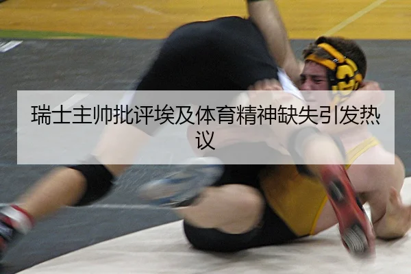 瑞士主帅批评埃及体育精神缺失引发热议